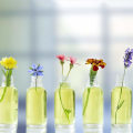 Using Essential Oils for Relaxation and Healing: A Comprehensive Guide